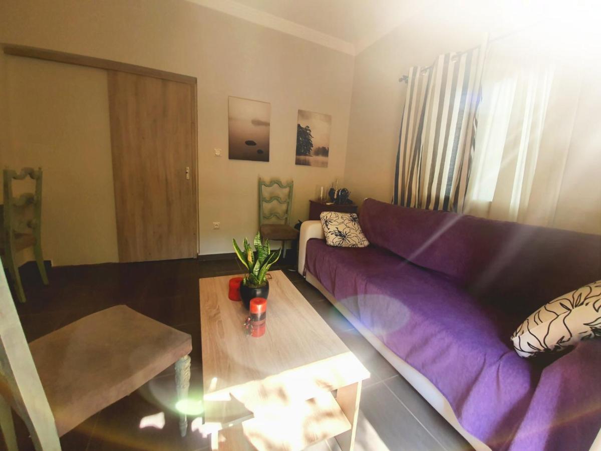 Ilias' cosy&relaxing apartment Atene Esterno foto