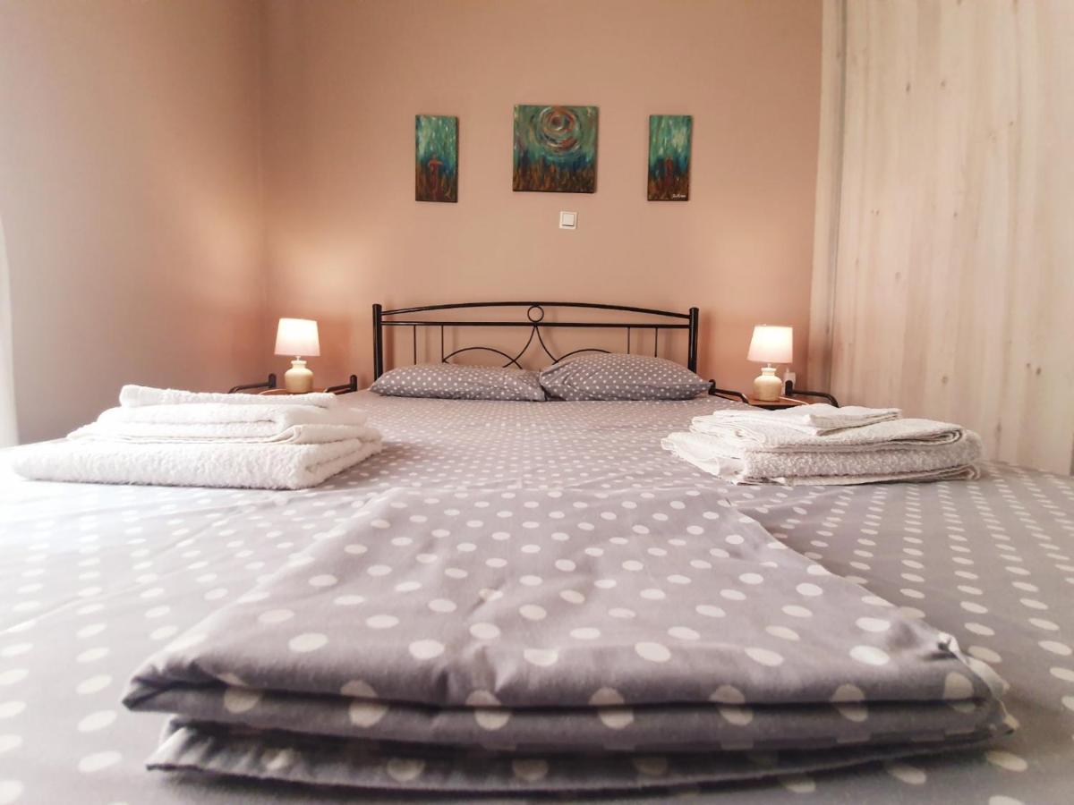 Ilias' cosy&relaxing apartment Atene Esterno foto